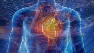 Stress and the Heart: A Connection Worth Understanding