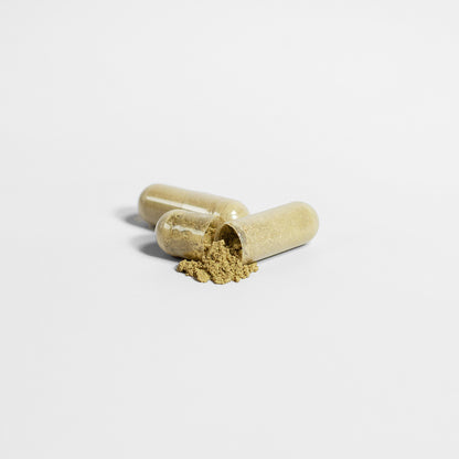 SUPERFOODS [moringa]