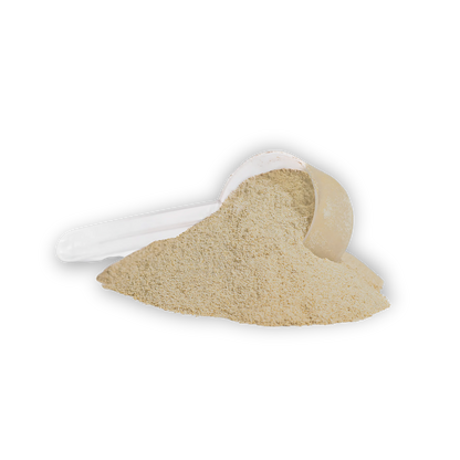 BUILD VANILLA WHEY
